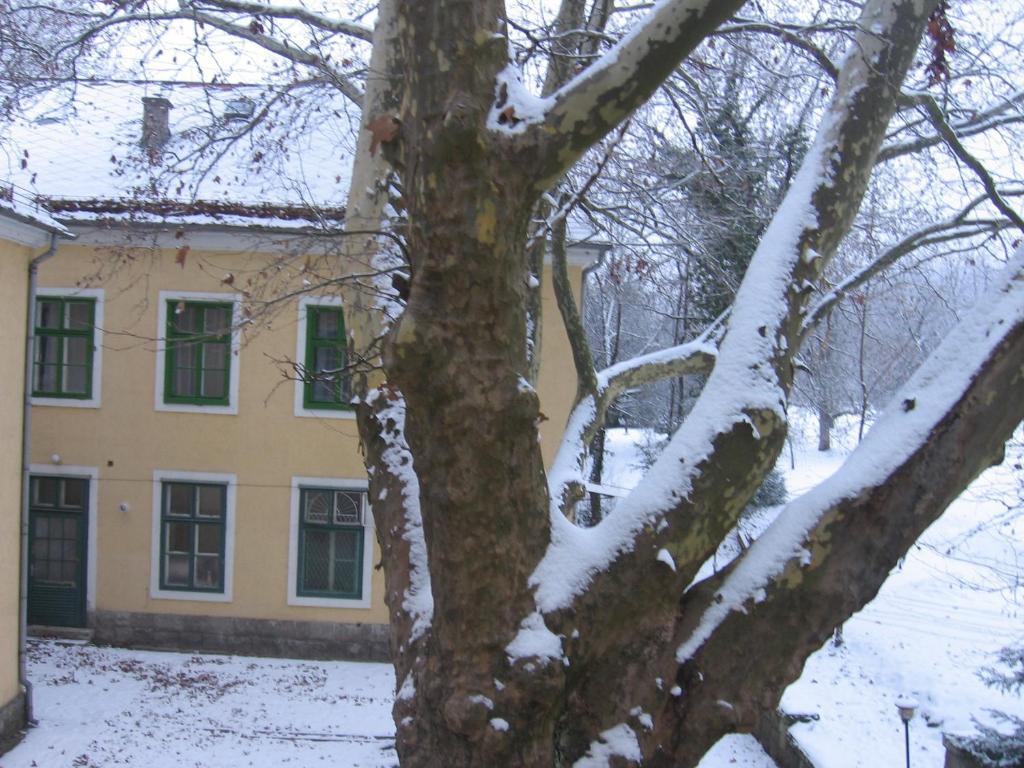 Mater Salvatoris House Hotel Gödöllő Buitenkant foto